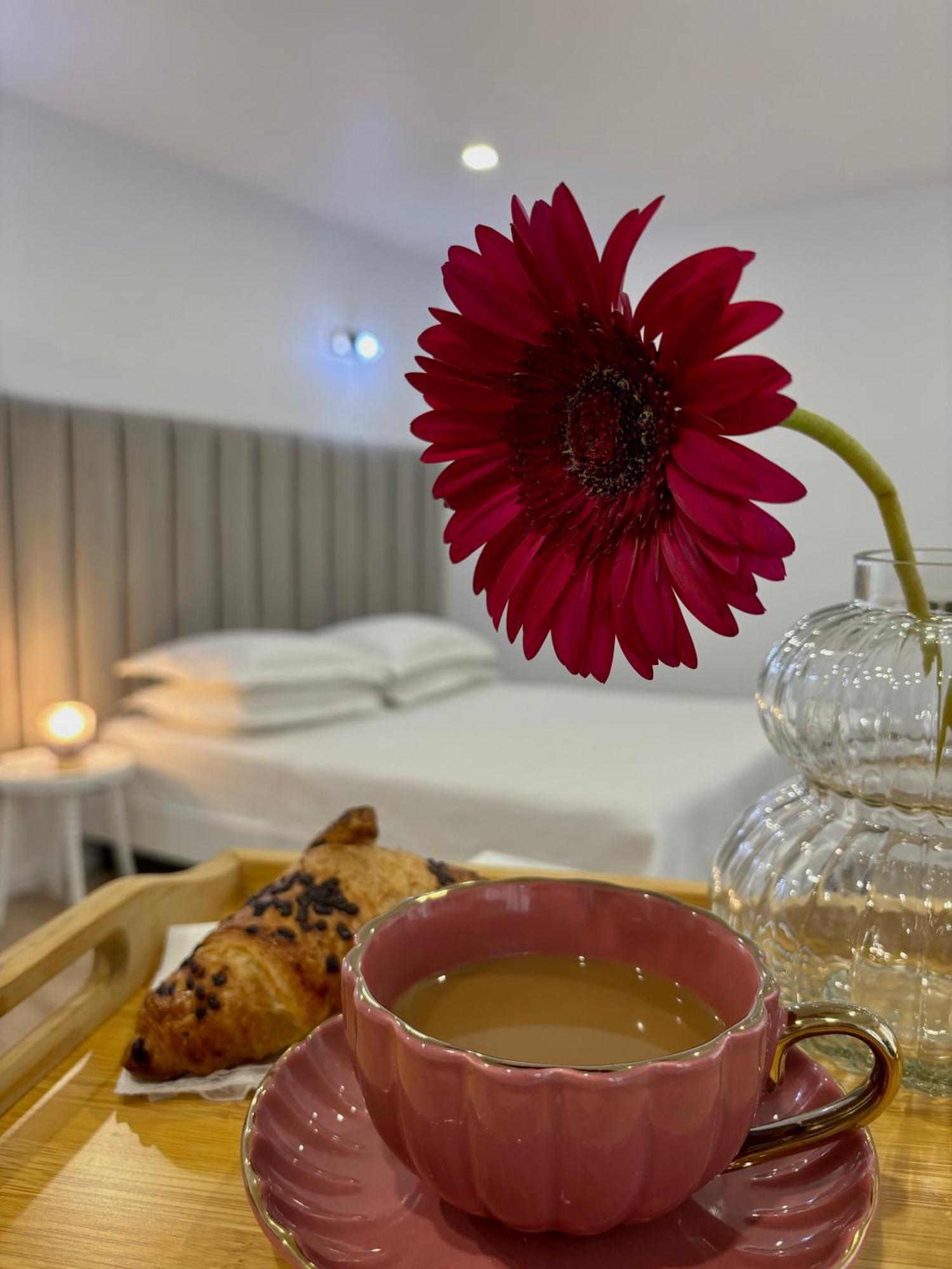 Apartament Luna بياترا نام المظهر الخارجي الصورة